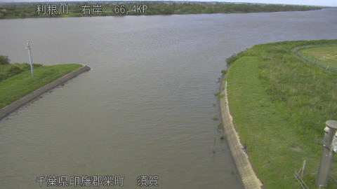 tonsu2026060416_image