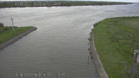 tonsu2026060419_image