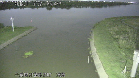 tonsu2026060422_image