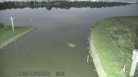 tonsu2026060423_image