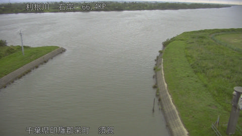 tonsu2026060505_image