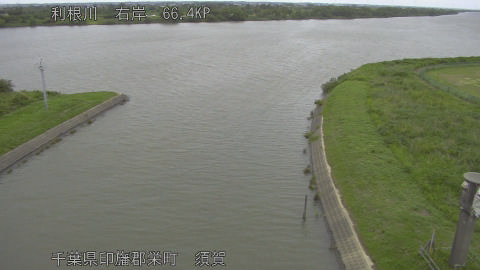 tonsu2026060509_image