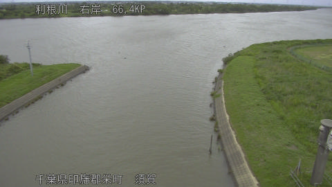 tonsu2026060511_image