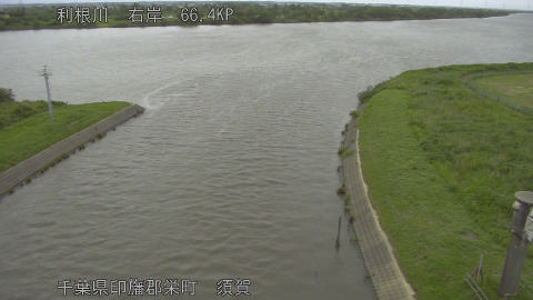 tonsu2026060512_image