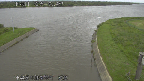 tonsu2026060513_image