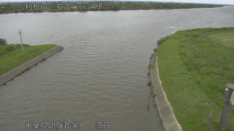 tonsu2026060514_image