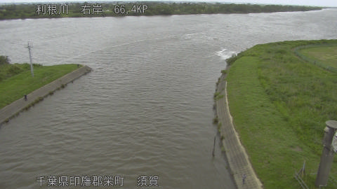 tonsu2026060515_image