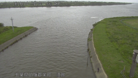tonsu2026060518_image