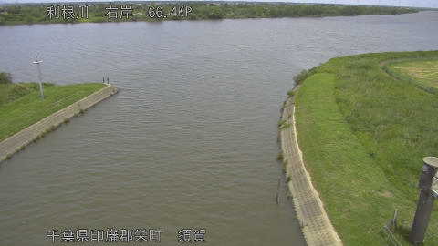 tonsu2026060612_image