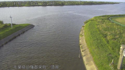 tonsu2026060618_image