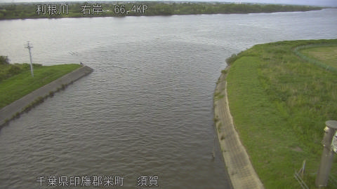 tonsu2026060619_image