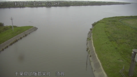 tonsu2026060705_image