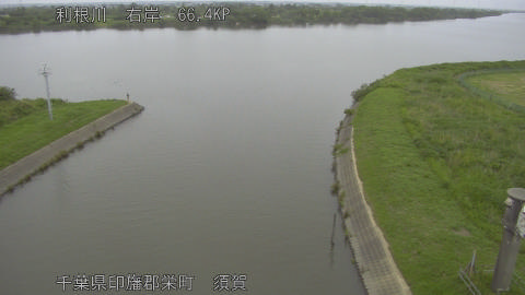 tonsu2026060710_image
