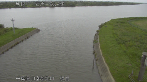 tonsu2026060712_image
