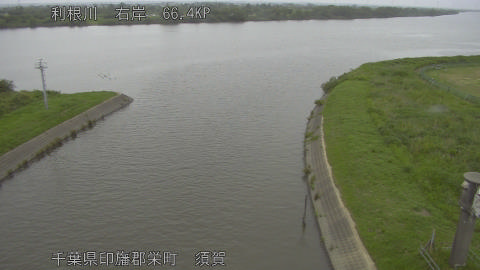tonsu2026060717_image