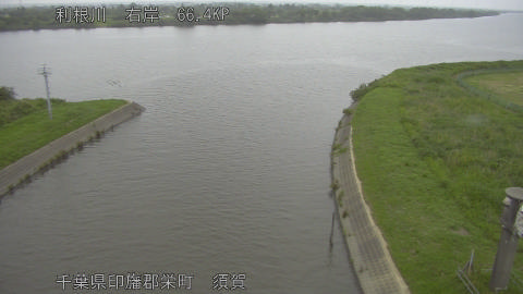 tonsu2026060718_image