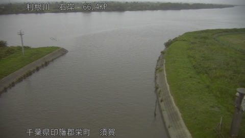 tonsu2026060719_image