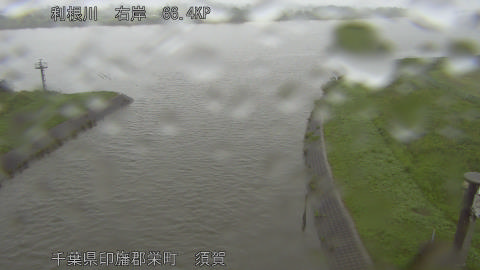 tonsu2026060806_image