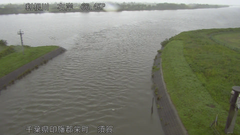 tonsu2026060807_image