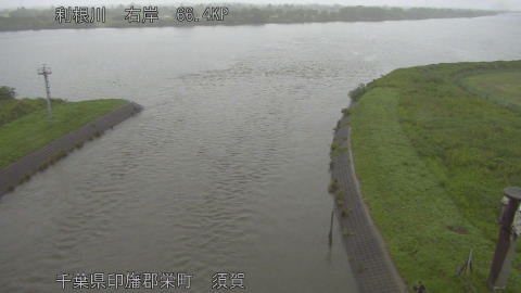 tonsu2026060809_image