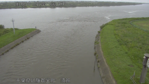 tonsu2026060811_image