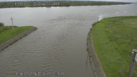 tonsu2026060813_image