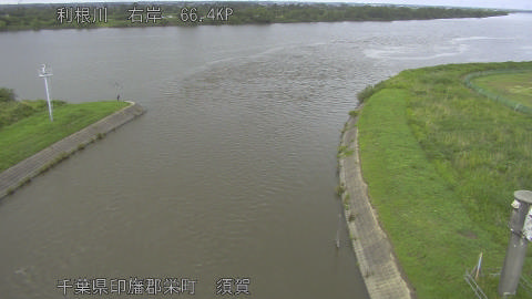 tonsu2026060814_image