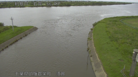 tonsu2026060815_image