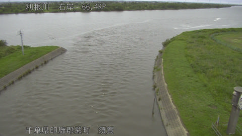 tonsu2026060817_image