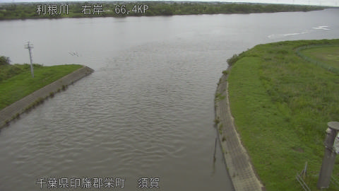 tonsu2026060818_image