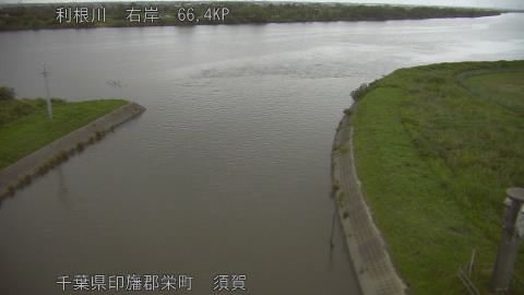 tonsu2026060819_image