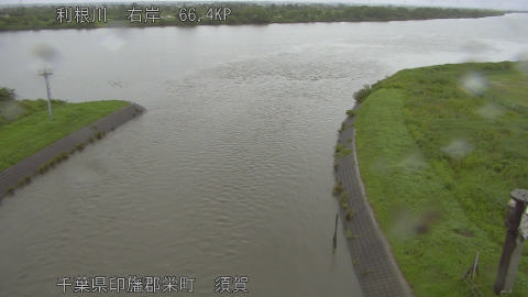 tonsu2026060909_image