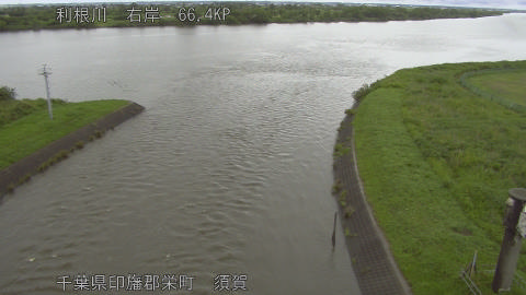 tonsu2026060910_image