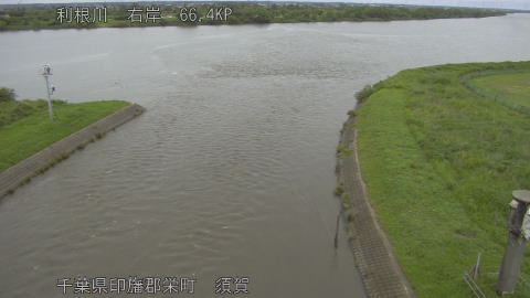 tonsu2026060911_image