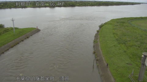 tonsu2026060912_image