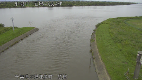 tonsu2026060913_image