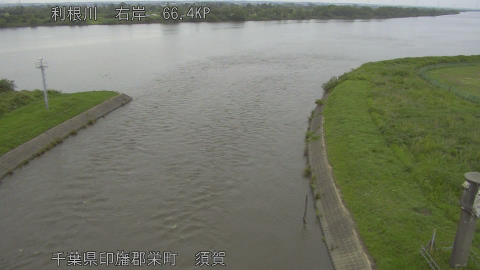 tonsu2026060914_image