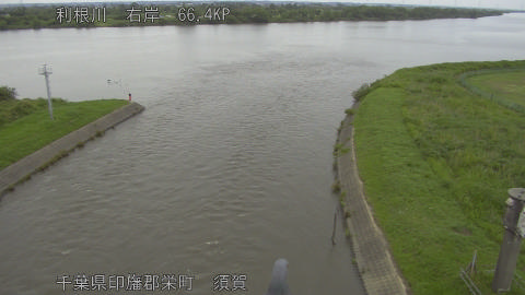 tonsu2026060915_image