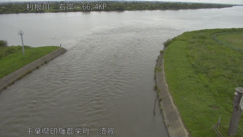 tonsu2026060916_image