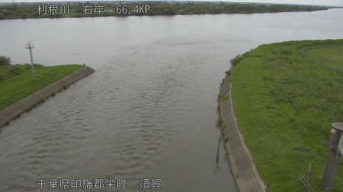 tonsu2026060917_image