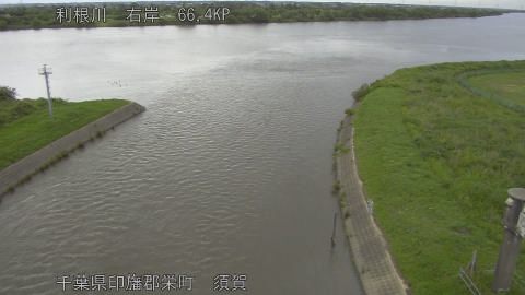 tonsu2026060918_image