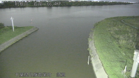 tonsu2026060922_image