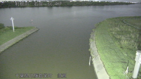 tonsu2026060923_image
