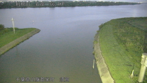 tonsu2026061004_image