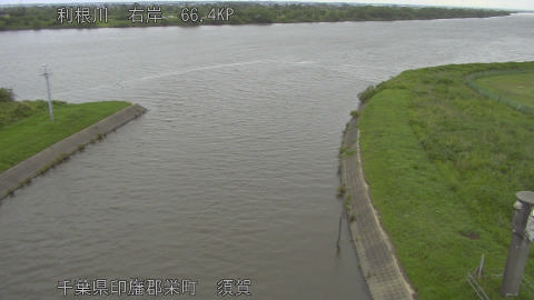 tonsu2026061006_image