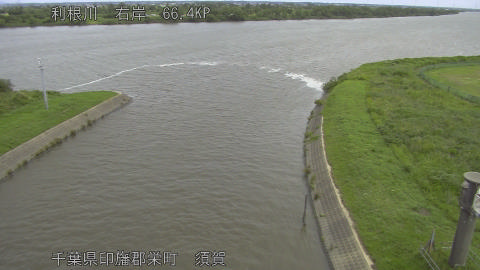 tonsu2026061010_image