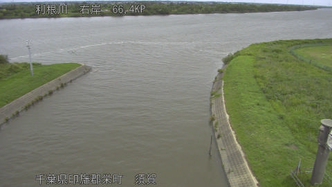 tonsu2026061011_image