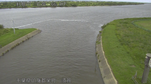 tonsu2026061012_image