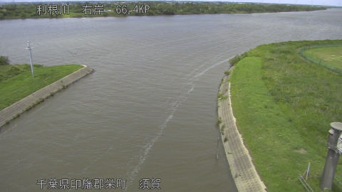 tonsu2026061013_image