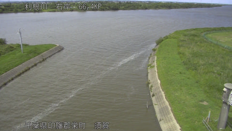 tonsu2026061014_image